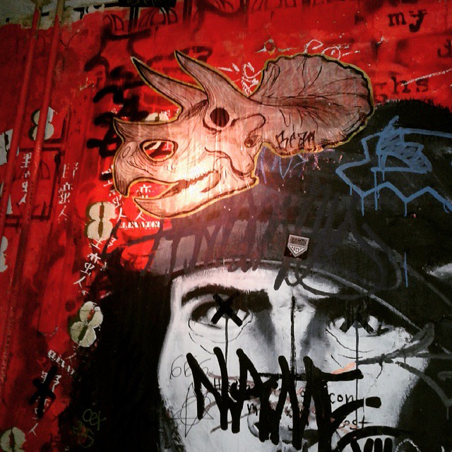 924701_1555528698046104_1814561184_n